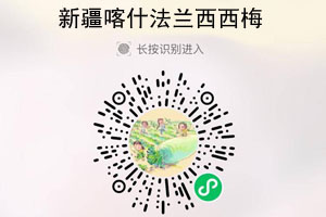新疆喀什法兰西西梅20210817
