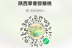 陕西周至翠香猕猴桃20210822