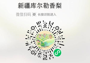新疆库尔勒香梨20210925