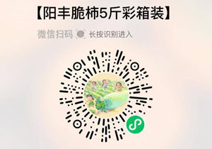 陕西阳丰脆柿20210926