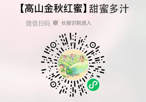 山东蒙阴金秋红蜜桃20210929