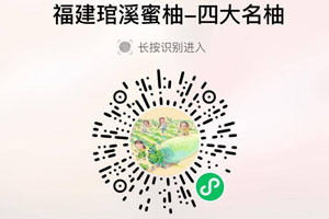 福建琯溪蜜柚 平和四大名柚20210905