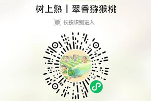风物良食®树上熟眉县翠香猕猴桃20210906/果然
