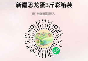 新疆阿克苏恐龙蛋20210911