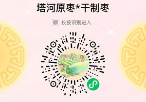 塔河原枣·新疆和田灰枣20210915