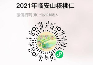 临安山核桃仁20210917