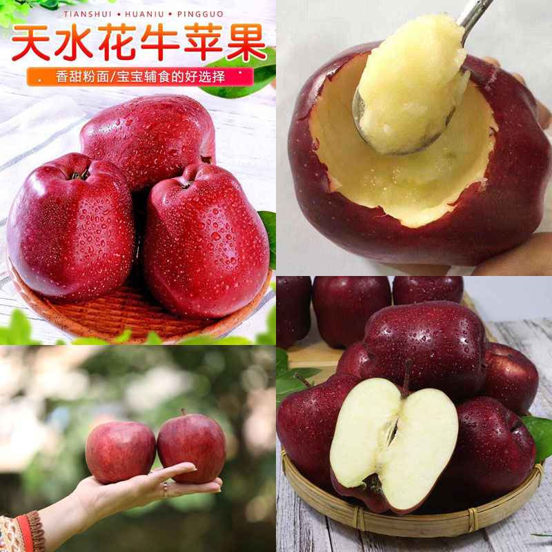 甘肃天水花牛苹果20210919