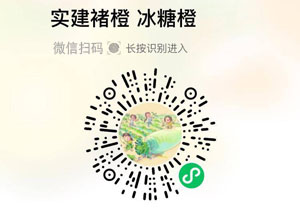 实建褚橙 冰糖橙20211007