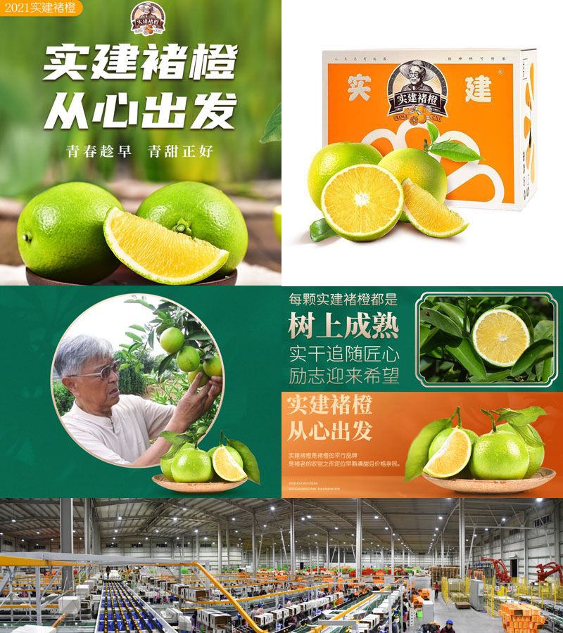 实建褚橙 冰糖橙20211007