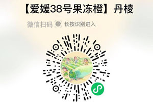 丹棱爱媛38号果冻橙20211011