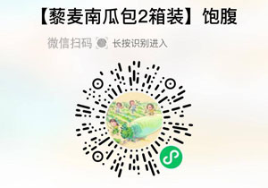 藜麦南瓜包20211014