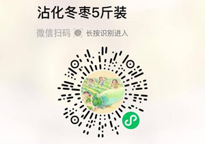 山东滨州沾化冬枣20211006