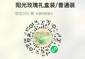 阳光玫瑰晴王葡萄20211018