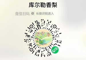 新疆库尔勒香梨20211018