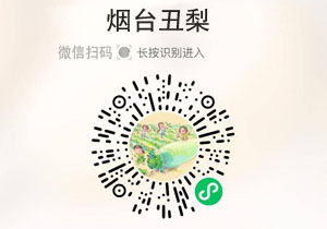 烟台丑梨20211020