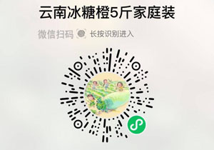 云南青皮冰糖橙20211023