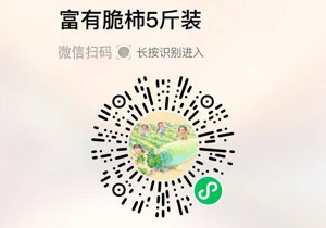烟台富有脆柿20211024