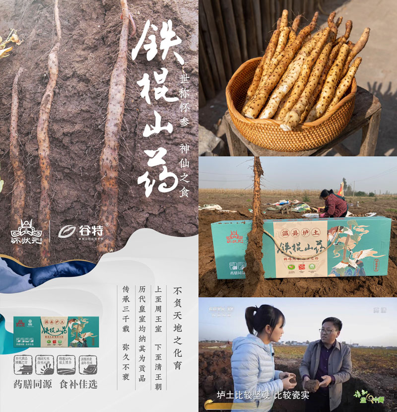 谷特®怀状元铁棍山药20211029