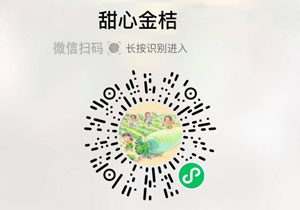 广西甜心金桔20211029