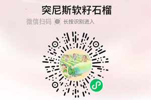 会理突尼斯软籽石榴20211007