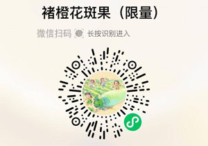 褚橙花斑果20211123/果然
