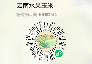 云南水果玉米20211123