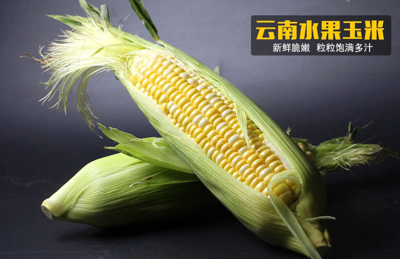 云南水果玉米20211123