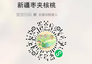 单一地®大半个新疆枣夹核桃20211124/果然