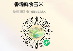 傻小子香糯玉米20211125