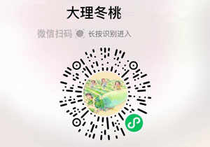 云南大理甜脆冬桃20211127