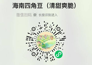 海南四角豆20211128/果然