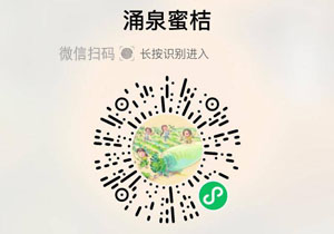 浙江台州涌泉蜜桔20211129/果然