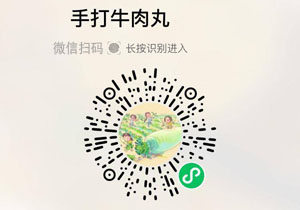 牛大鼎潮汕牛肉丸20211130/果然