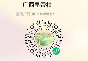 广西皇帝柑20211106