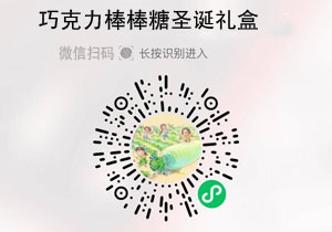 挑剔虎巧克力圣诞礼盒20211109