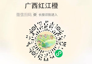 广西红江橙20211112