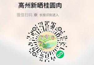 高州桂圆肉20211113/果然