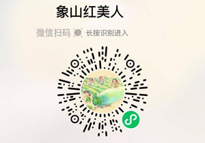 象山红美人柑橘20211115