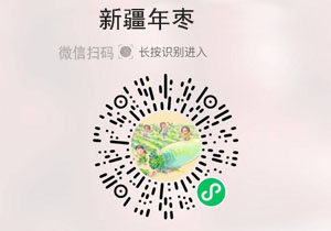新疆年枣20211115