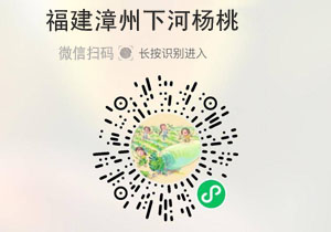 福建漳州下河杨桃20211116