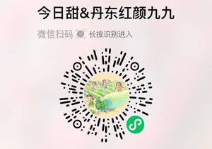 今日甜&丹东红颜九九草莓20211117