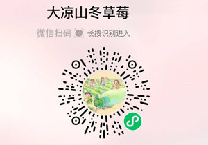 德昌县大凉山冬草莓20211119