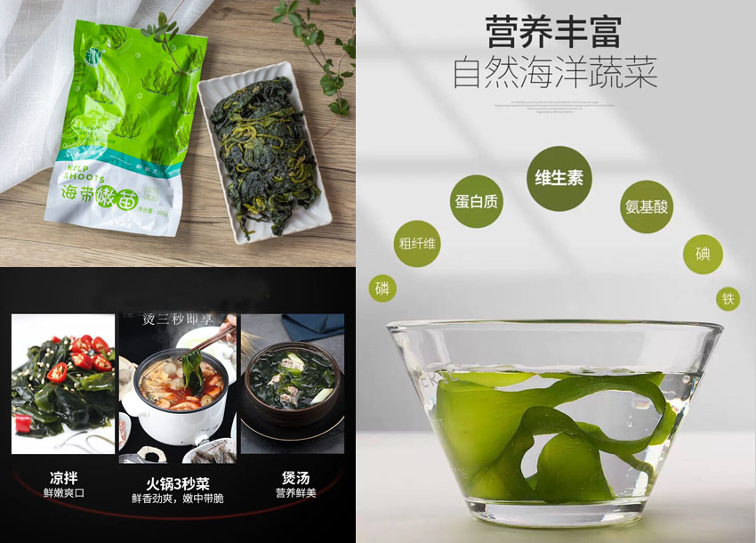福建霞浦海带嫩苗20211120