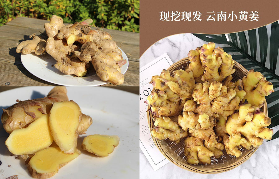 云南新鲜小黄姜20211121