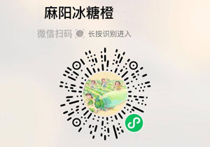 湖南麻阳冰糖橙20211201
