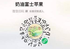 烟台奶油富士苹果20211203