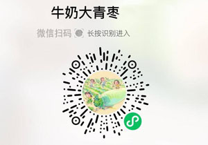 福建牛奶大青枣20211203