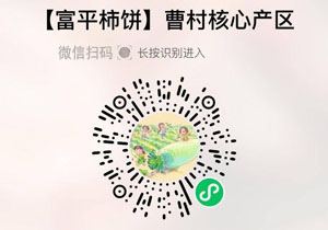 富平柿饼 柿柿红20211209