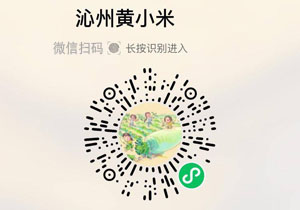 沁州黄小米/沁州黑小米20211210/果然