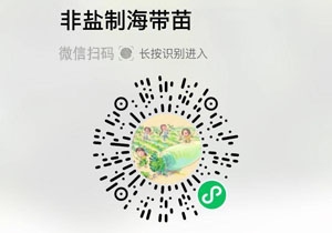 非盐制海带苗20211210
